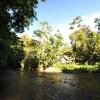 Отель Estación Biológica Tamandua, фото 36