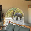 Отель Gwango Elephant Lodge, фото 15