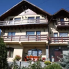 Отель Pension Casa Ali & Andu, фото 1