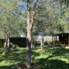 Отель Elyada Otel ve Bağ Evi (+8 Yaş), фото 36