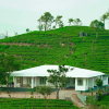 Отель Cotton Hill Tea Bungalow By Voye Homes, фото 11