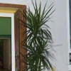 Отель B&B Delle Palme, фото 18