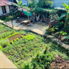 Отель Vườn chuối homestay, фото 10