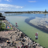 Отель Shelly Beach Holiday Park, фото 20