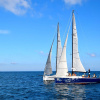 Отель Fun Wind Sailing, фото 18