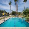 Отель Monkey Tree Hotel 4 in Palm Springs, фото 12