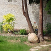 Отель Les Chambres d'hôtes - La Closerie, фото 2
