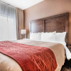 Отель Comfort Inn & Suites, фото 7
