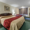 Отель Rodeway Inn, фото 4
