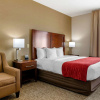 Отель Comfort Inn & Suites Jerome - Twin Falls, фото 6
