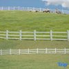 Отель Yunduo Rainbow·Suxi Pro-Pet Holiday Homestay (Anji Yunshang Grassland Alpine Tourism Resort), фото 8