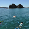 Отель CC Beach Front Papagayo All Inclusive, фото 34
