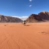 Отель Wadi Rum Safari Camp & Trips, фото 16