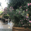 Отель Narcis Apart Hotel, фото 15