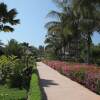 Отель La Teranga Hotel & Villas Saly, фото 7