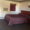 Отель Potsdam Inn, фото 3