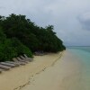 Отель Jerrys Dive Lodge, фото 25