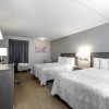 Отель Red Roof Inn PLUS+ Boston - Mansfield/ Foxboro, фото 11