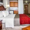 Отель Comfort Inn & Suites Geneva - West Chicago, фото 5