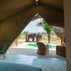 Отель Elephant View Camp, фото 2