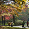 Отель Mystays Sapporo Nakajima Park Annex, фото 16