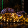 Отель The Forth Inn, фото 11
