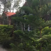 Отель Coorg Nest Cottages, фото 46