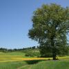 Отель Florence Country Residence, фото 5