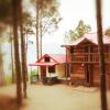 Отель Pine Valley Resort - PVR Kasauli, фото 1