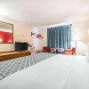 Отель Econo Lodge, фото 31