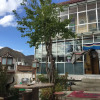 Отель Yangkor Tibetan Homestay - Hostel, фото 24