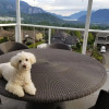 Отель Squamish Highlands Bed and Breakfast, фото 20