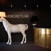 Отель Arboretum Hotel, фото 10