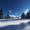 Отель Alpenpension Unterschlag, фото 18