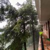 Отель Jakhu Vibes Shimla, фото 9