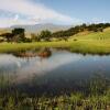 Отель Hlalanathi Drakensberg Resort, фото 11