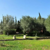Отель Casa Rural Sa Plana, фото 4