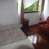 Отель Papaya Guesthouse, фото 4