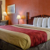 Отель Econo Lodge Inn & Suites, фото 4