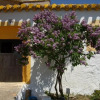 Отель Cortijo Los Nopales, фото 1
