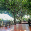 Отель Nida Rooms Suthep 23 Zootopia, фото 12