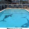 Отель Sea Hawk Motel, фото 15