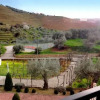Отель Casa Oliveiras do Douro, фото 2