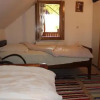 Отель Pensiunea Ilea, фото 5