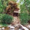 Отель 1 BHK Cottage in Wayanad wildlife sanctuary, by GuestHouser (DD54), фото 9