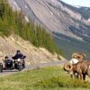 Отель Mount Robson Inn, фото 20