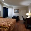 Отель Scott Inn Suites - Downtown Houston, фото 4