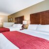 Отель Comfort Inn & Suites Harrisburg - Hershey West в Гаррисберге