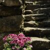 Отель La Grange à Prades, фото 7