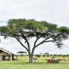 Отель Pumzika Luxury Safari Camp - East Africa Camps, фото 21